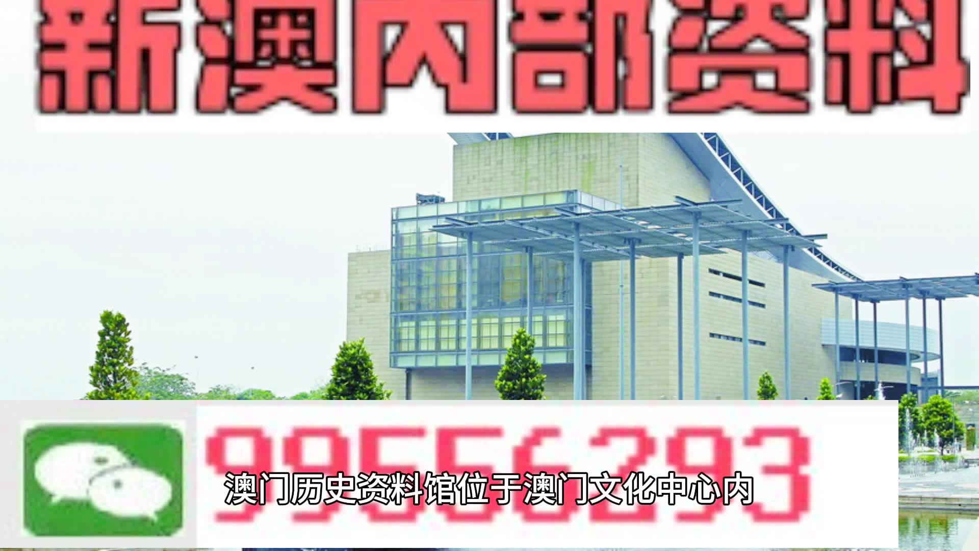 2024新澳门全年资料彩资料查询,释义解释理解释义