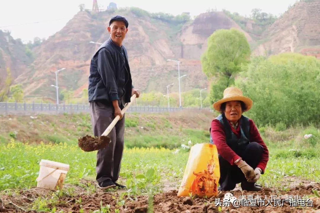 临夏结婚视频最新，传统与现代的完美结合