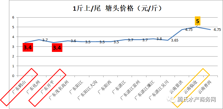 最新鲤鱼价格走势分析