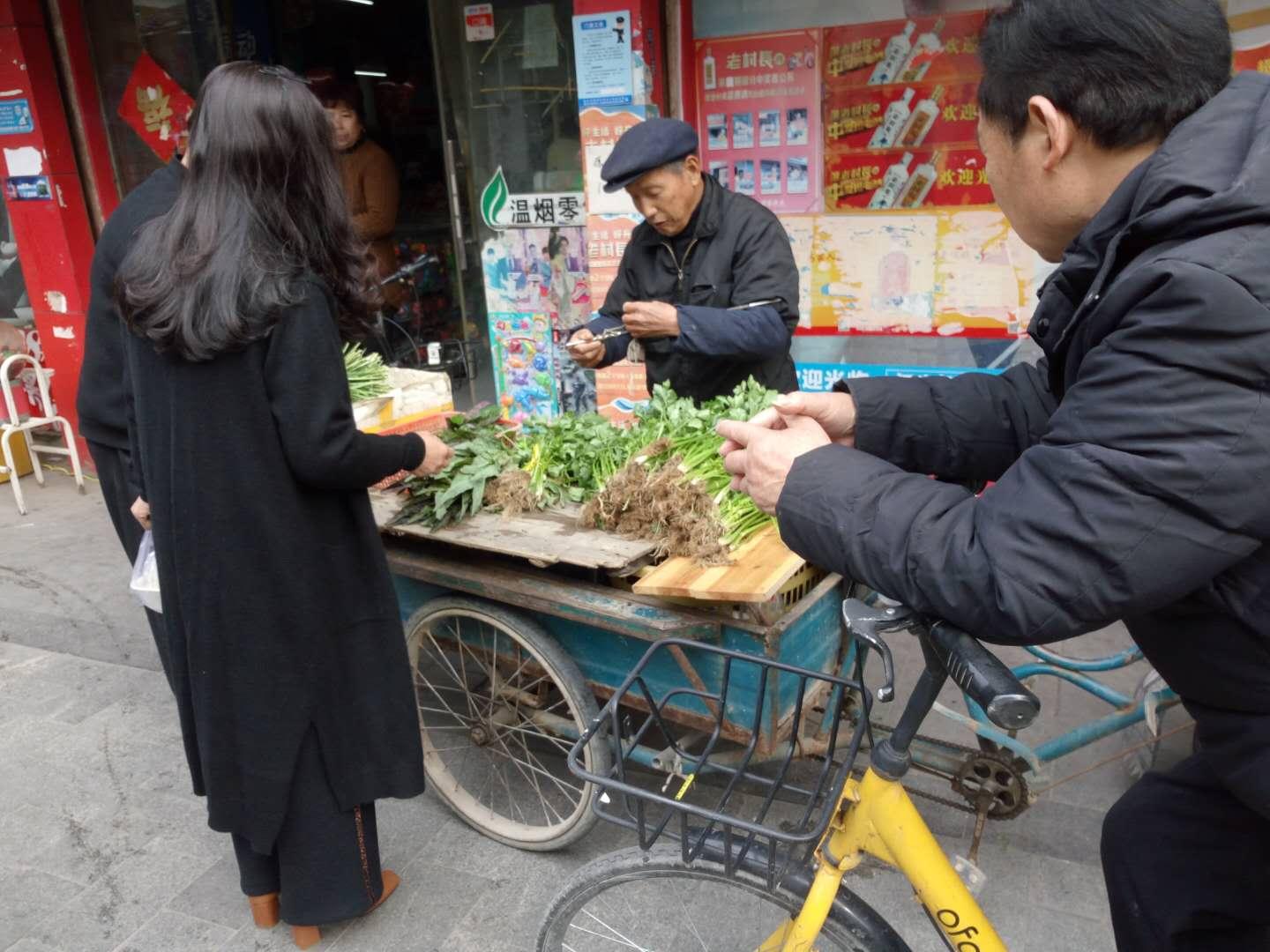 温州最新菜场摊位出租，商机与活力并存