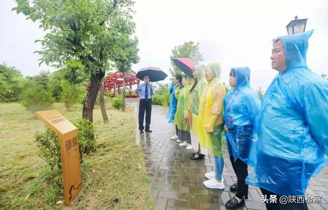 西安放鱼最新资讯，生态放流活动的最新动态与意义